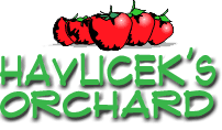 Havlicek's Veseli Vrsek Orchard